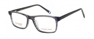 RAMA DE OCHELARI  ORANGINO BOB