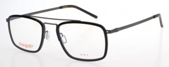 RAMA DE OCHELARI  ORANGINO BRUCE