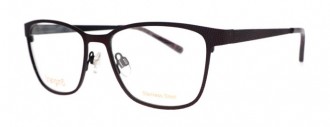 RAMA DE OCHELARI  ORANGINO DARCY