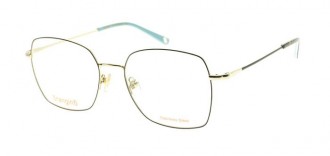 RAMA DE OCHELARI  ORANGINO DEMI
