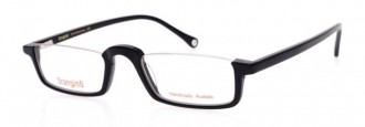 RAMA DE OCHELARI  ORANGINO FORD