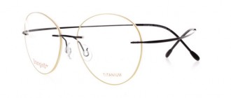 RAMA DE OCHELARI  ORANGINO ZAANSTAD