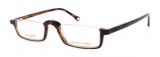 RAMA DE OCHELARI  ORANGINO FORD