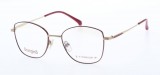 RAMA DE OCHELARI  ORANGINO LAYLA